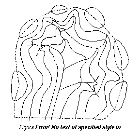 Text Box:  
Figura 2.7 - Bazinul hidrografic.

